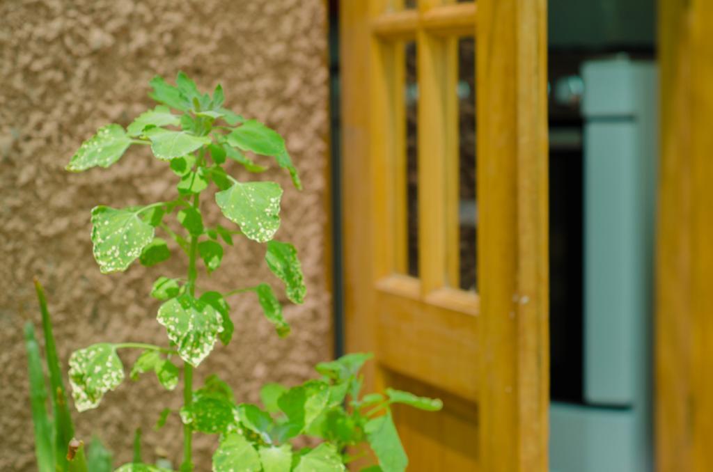 Hostal Alabalti San Pedro de Atacama Exteriör bild